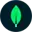 MongoDB database logo