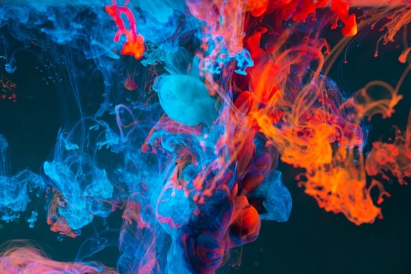 WordPress vs Custom Web Development — Which Does Your Business Need?